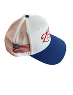 Zeta Tau Alpa Epsilon Patriotic Hat