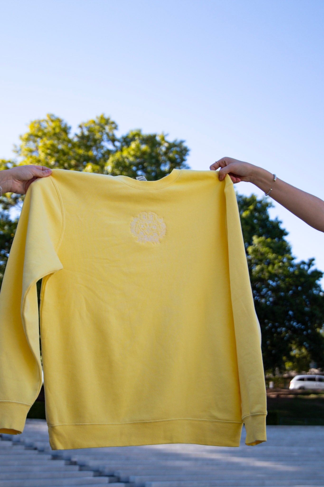 Chi Omega Crest Crewneck