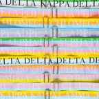Sorority Colorful Purse Strap